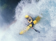 关于布伦森复出首秀出彩，明尼苏达森林狼主场大胜丹佛掘金，豪取20连胜的信息