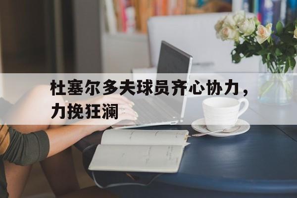 关于杜塞尔多夫球员齐心协力，力挽狂澜的信息